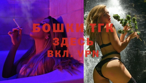 ГАЛЛЮЦИНОГЕННЫЕ ГРИБЫ Баксан